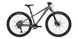 Велосипед CYCLONE 26" RX 2024 (XS, сірий матовий)