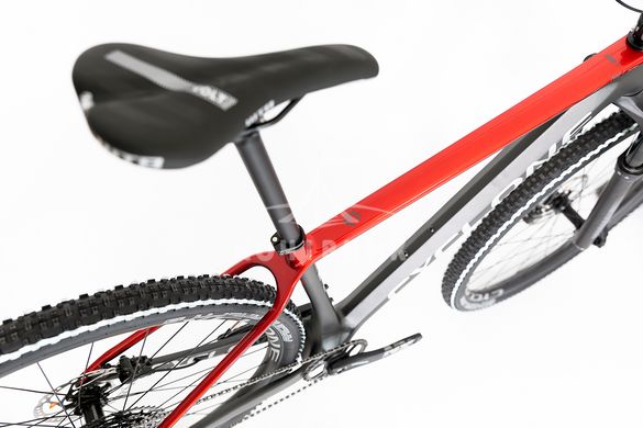 Горный велосипед CYCLONE 29" PRO 1 carbon 2022 (17”, сірий/червоний)